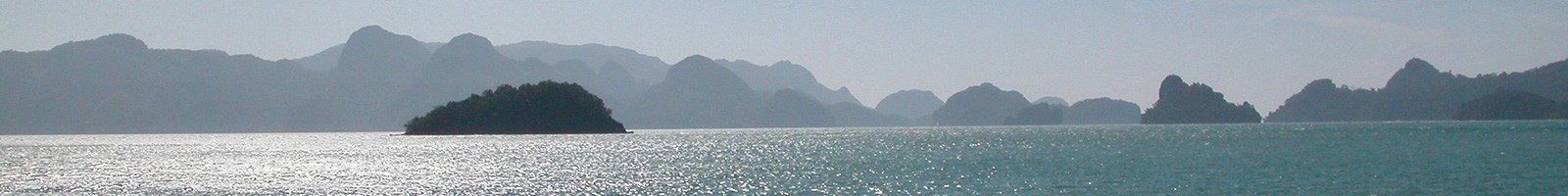 Inner Banner